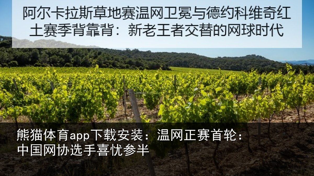 熊猫体育app下载安装:温网相关情况选手喜忧参半